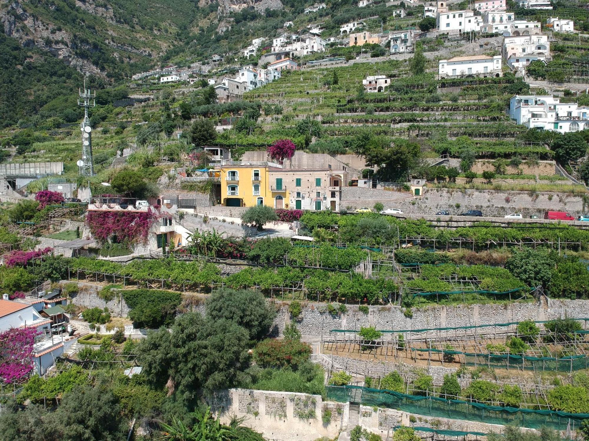 Agriturismo Fuoco D'Amalfi Villa Iazzetta Exterior foto